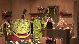 Call Back in the Morning - Little Shop of Horrors Absegami High School 2018