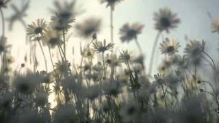 My heart belongs to me