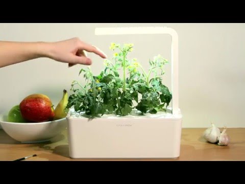 Click&amp;Grow Vaisių ir daržovių mišinys 9 vnt. video