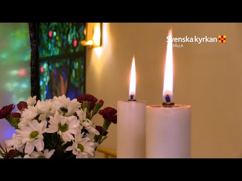 Andakt - I fridzonen