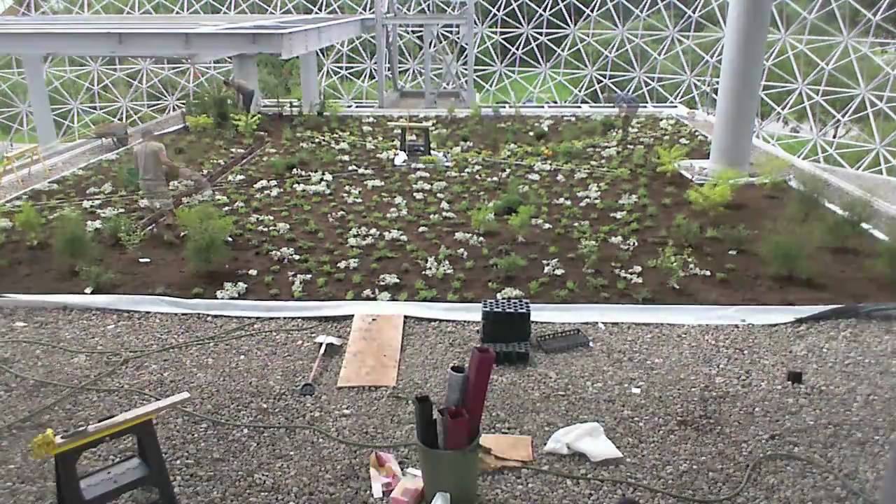 Intensive Green Roof Installation