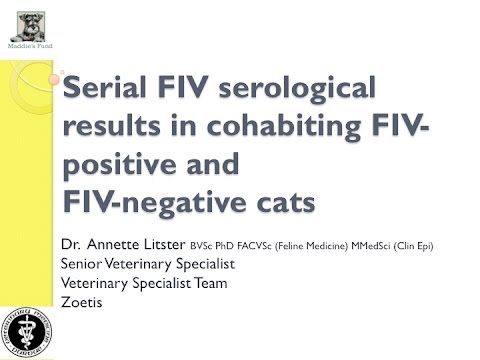 Vet to Vet: Serological Results Cohabiting FIV-positive & FIV-negative Cats - conference recording