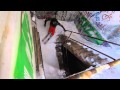 Logan Imlach skis through tower block and straight out of the window!