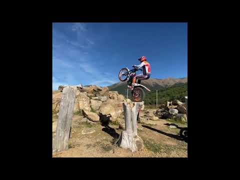 Toni bou 2021 and gold