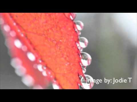 Photo Friday - Autumn Top 10