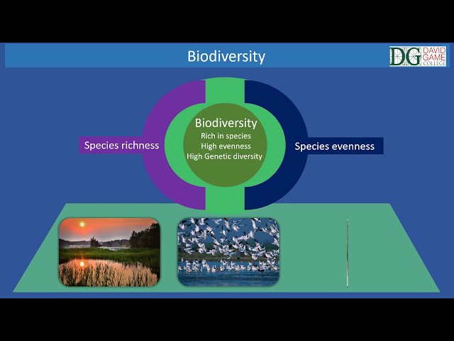 David Game Medical Programme -Biodiversity David Game Medical Programme -Biodiversity
