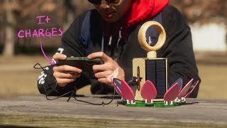 We Made A Lotus Solar Tower