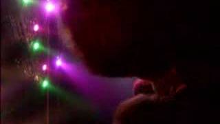 Status Quo Frankfurt Gravy Train