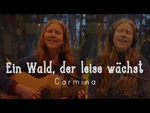 Ein Wald Der Leise Wächst - Carmina