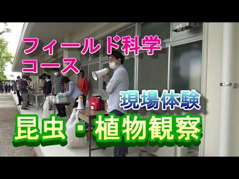 【フィールド科学コース】現場体験（昆虫観察②）