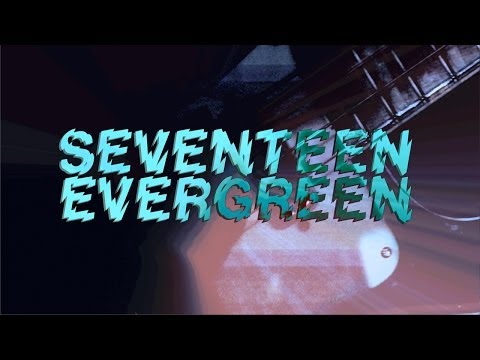 SEVENTEEN EVERGREEN - BONNE ANNEE 2014!!