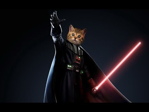 Star Wars Cats - The Imperial March (Darth Vader's theme)