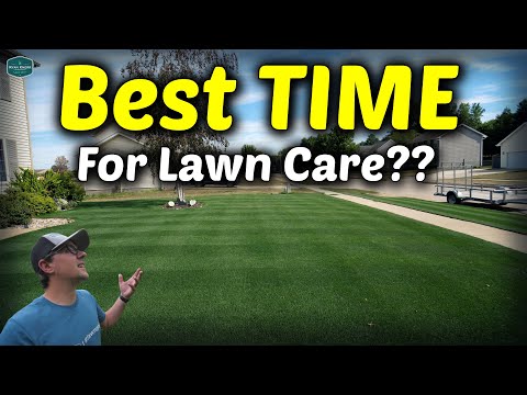 What Time Should You MOW??
