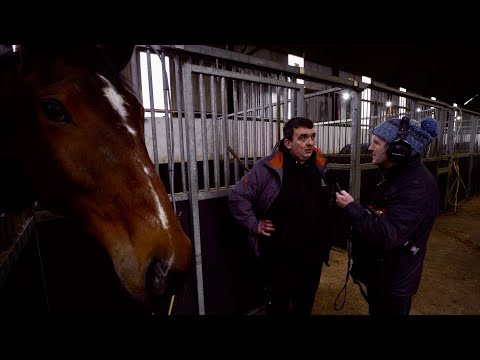 Horsin' Around - Paddy Glasgow visits Noel C Kelly Racing