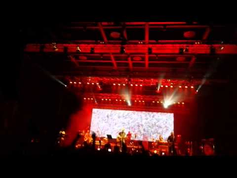 David Koller - Karlín 2015