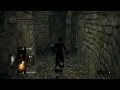 Local Naked Man Takes On A Ladder He Can T Find