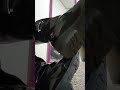 Intense Squeaking In My New Boots