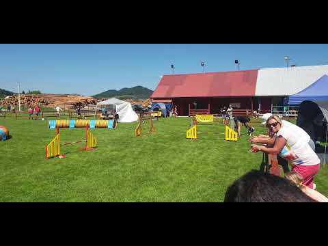 A2M 1. staza, 9. kolo PH, 18.08.2019. Mrkopalj