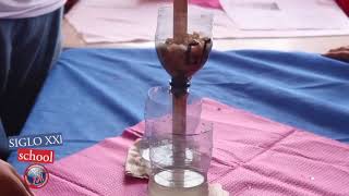 PROJECTS FESTIVAL (A B P) BIOLOGY  