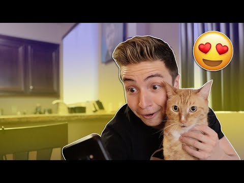 When Your Friend is Obsessed with CATS | Smile Squad Comedy