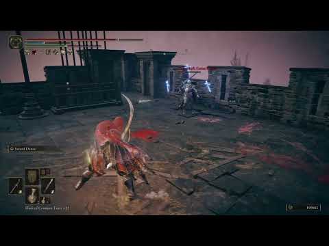 Swordmaster faces Moonrithyll, Carian Knight #EldenRing