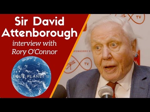 Sir David Attenborough on plastic pollution and Blue Planet 2 | Interview with Rory O'Connor