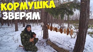 Помощь зверям зимой Делаю кормушки и супер багет Конусный шалаш год спустя
