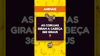 Capa de Animais #02