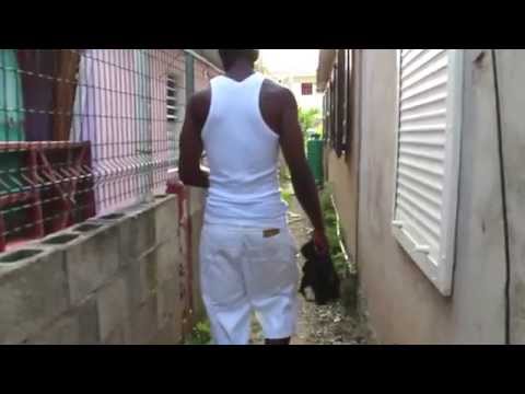 LD AKA MR PROPS - 32+ (STREET CLIP) JULY 2014