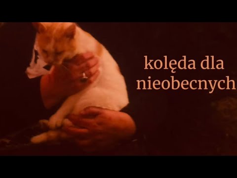 kolęda dla nieobecnych (cover angelika cicha)