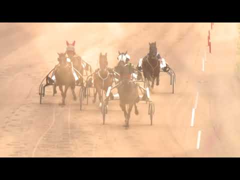 2022.07.23. 06. futam - MAGNA CHARTA HENDIKEP