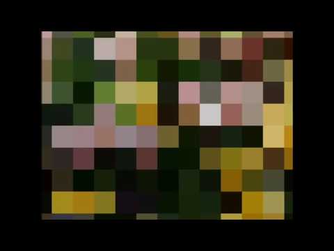 Humid Subtropical Climate