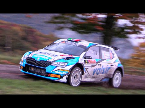 38° Rally Due Valli 2020 - Max Attack & Mistakes [HD]