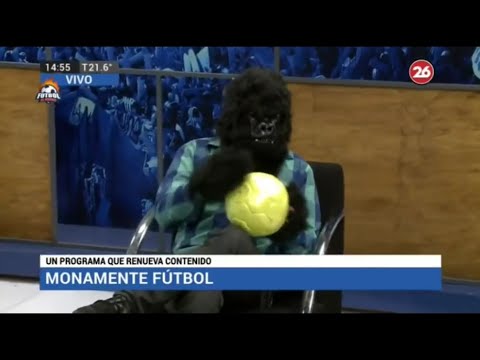 El mono Monadeo imita a Quique Wolff - La Caprichosa | FÚTBOL AL HORNO