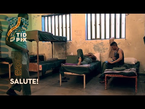 TidPix - Authentically African and TidPix Premium