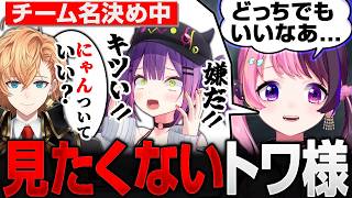 【V最練習ダイジェスト後半】チーム決めでにゃんつきたい渋ハルとどっちでもいいぷるる【天鬼ぷるる/渋谷ハル/常闇トワ/紫宮るな/切り抜き】