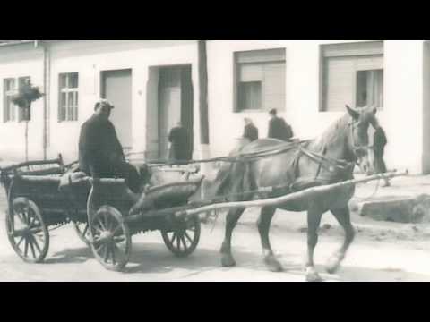 Stara Podravska Slatina -  Video razglednica 52