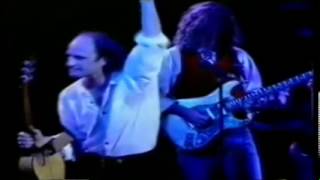 Steve Harley - Love is a Primadonna