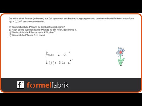 Exponentialfunktion bestimmen – Textaufgabe Kletterpflanze (Oberstufe)