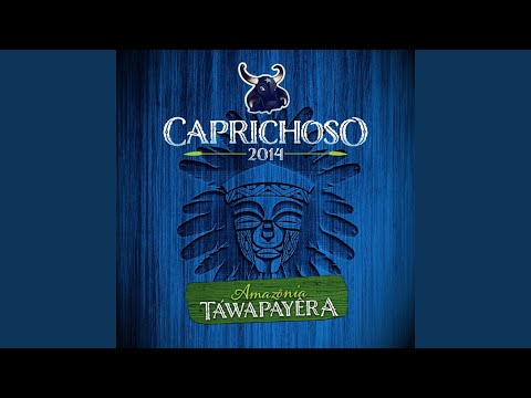 Caprichoso, Estrela De David - Boi Caprichoso