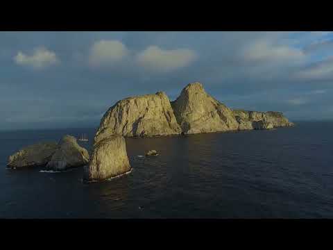 Protect SFF Malpelo, Sanctuary of biodiversity