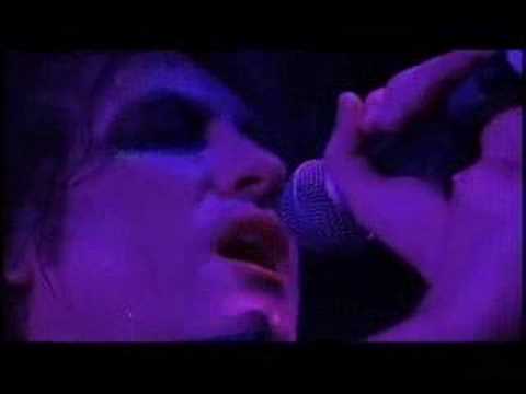 Thumbnail for cure - anniversary and lovesong toronto 2004 by The Cure