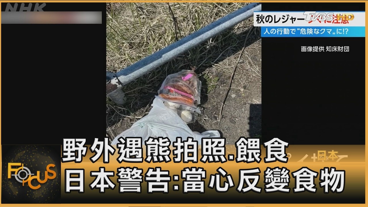 FOCUS全球新聞／野外遇熊拍照.餵食　日本警告：當心反變食物