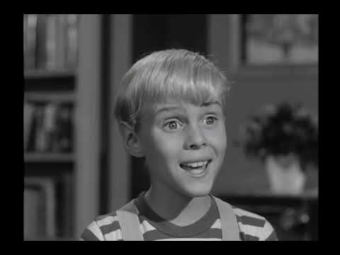 Dennis The Menace - S01E22 - Dennis And The TV Set