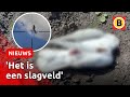 Tientallen vogels doodgeschoten | Omroep Brabant