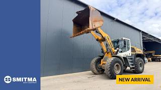 جرافة ذات عجلات Liebherr L550 XPower | صورة 4 - Machineryline