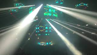 bassnectar- Shampion Chip