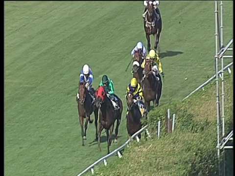 Galoppo 09/06/2017 - 3ª corsa