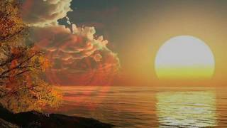 TE LLEGARÁ UNA ROSA      ALBERTO CORTEZ