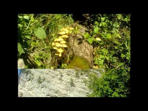 Atlas geografic Brezoi   @AcasaBrezoi